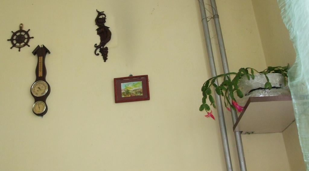 Apartament Kamigs *