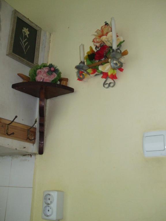 Apartament Kamigs Sofia